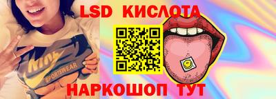 прущие крисы Сланцы
