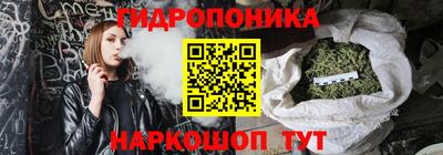 МДПВ Славгород