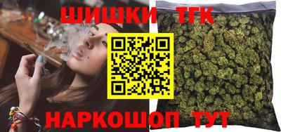 МДПВ Славгород