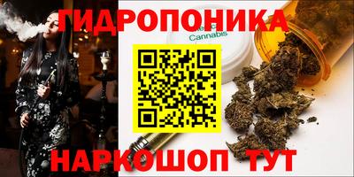 прущие крисы Сланцы